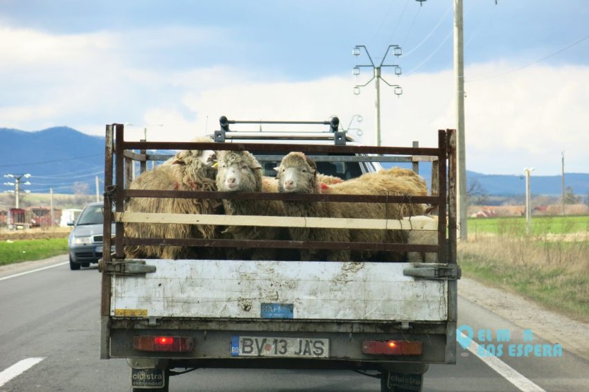 Romania