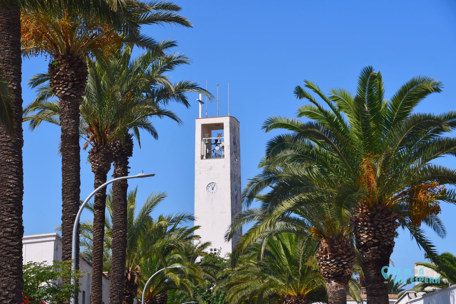 2 dies al Delta de l'Ebre - El món ens espera