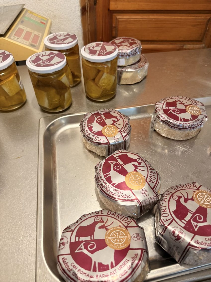 formatges barida (1)