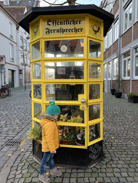 bremen cases 4
