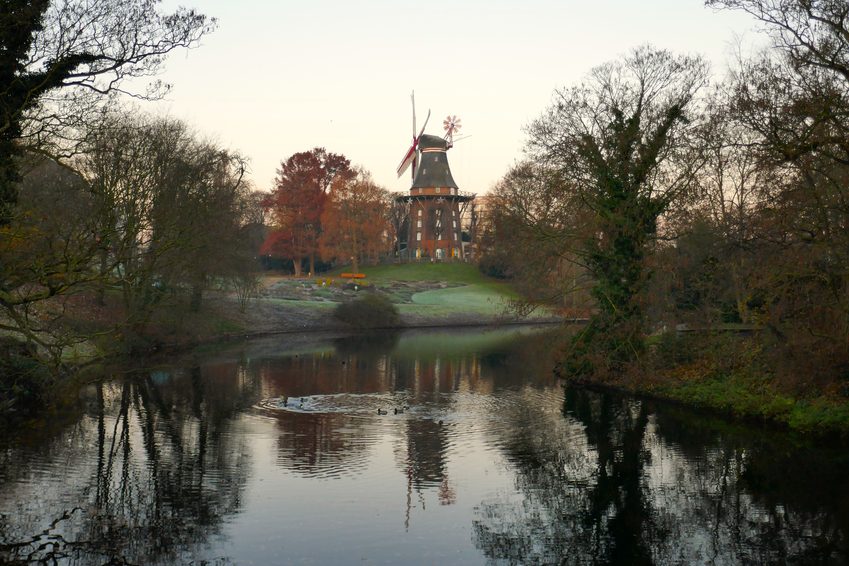 bremen moli