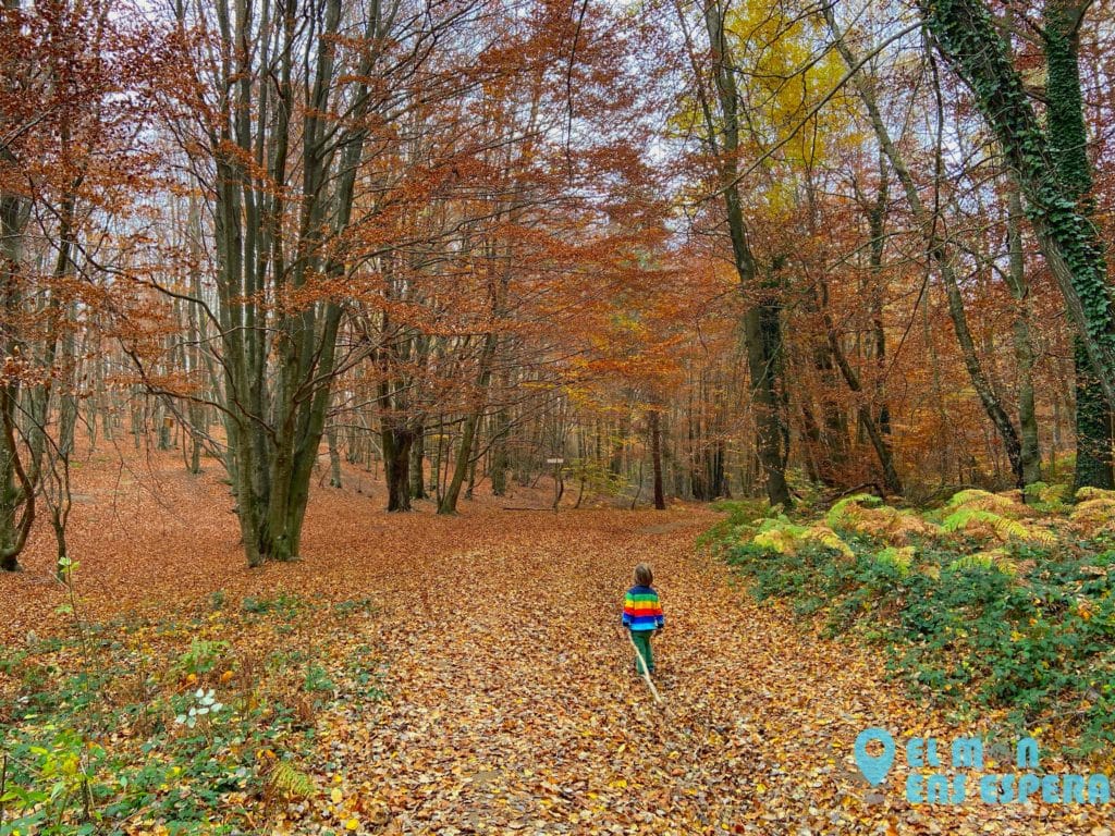 Excursió a les roques encantades