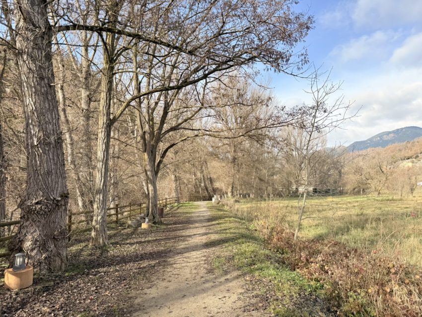 platgeta martinet 2 (1)