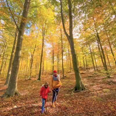 el montseny a la tardor