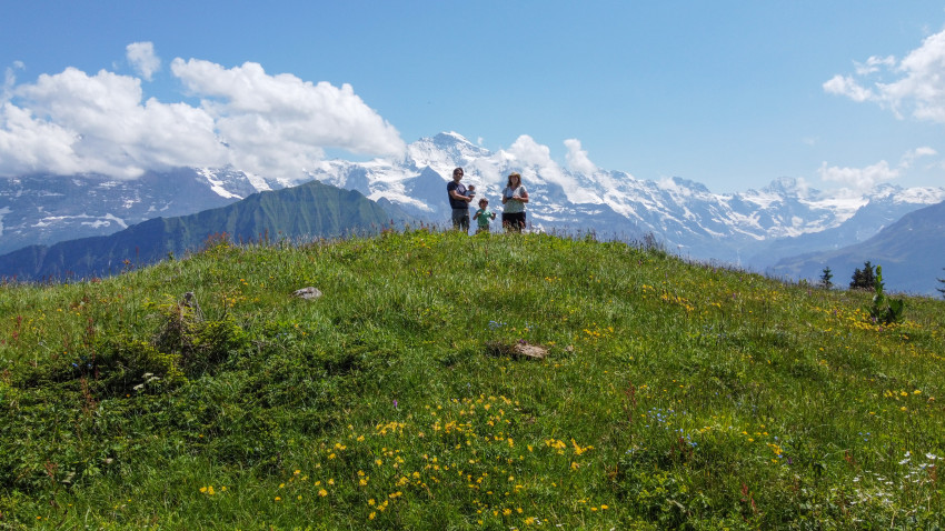 Schynige Platte