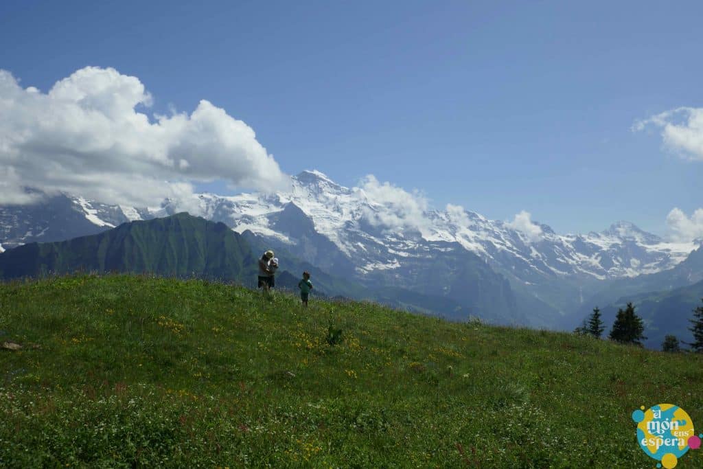 Imatge panoràmica de Schynige Platte a Suïssa