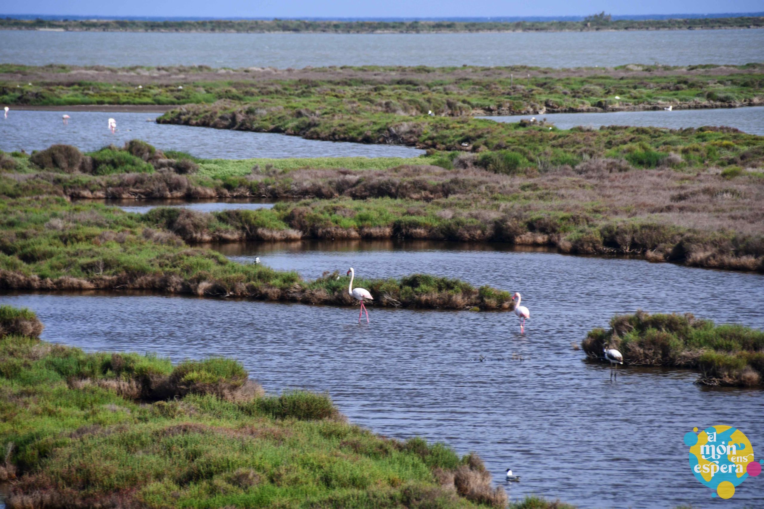 Mirador de la Tancada al Delta de l'Ebre