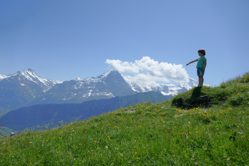 Imatge panoràmica de Schynige Platte a Suïssa