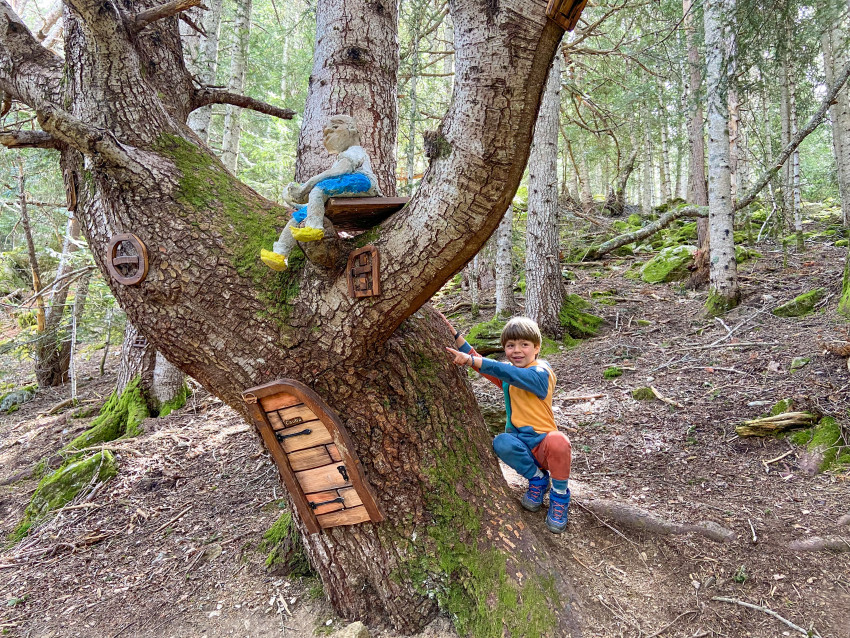 Bosc dels Menairons a Andorra