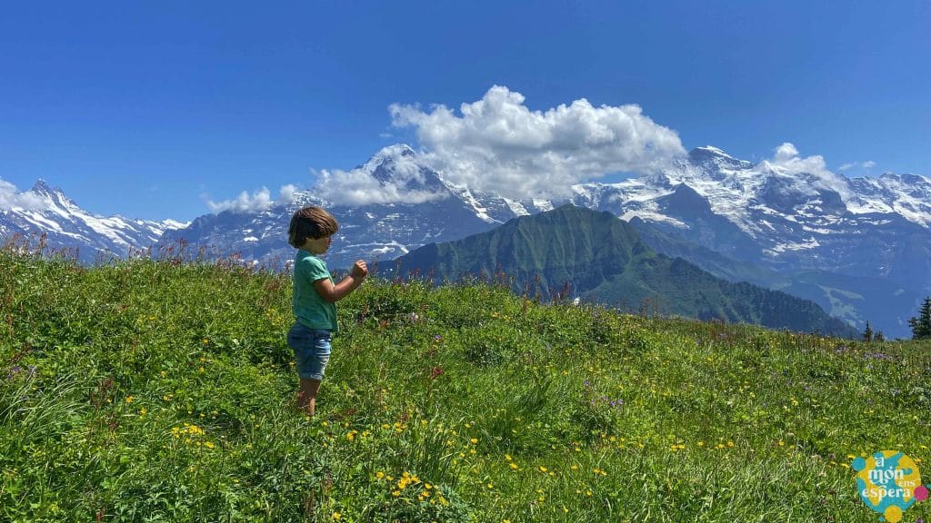 Paisatges bonics a Suïssa