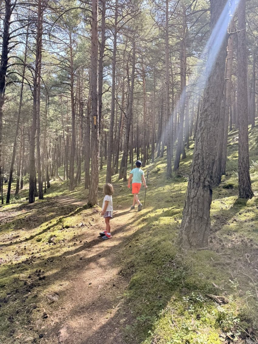 ruta macarulla el mon trapella d'en llimoi 4