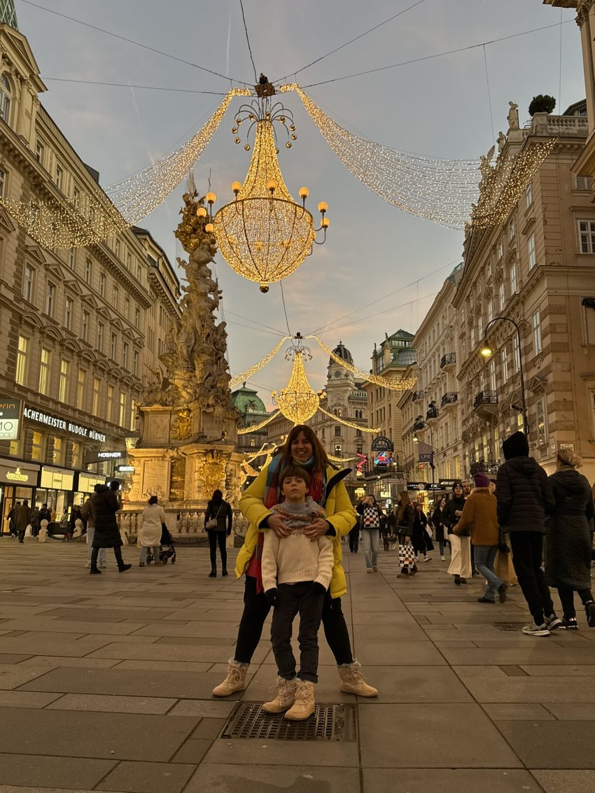 viena mercado de navidad 2