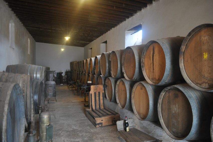 bodegues el grifo