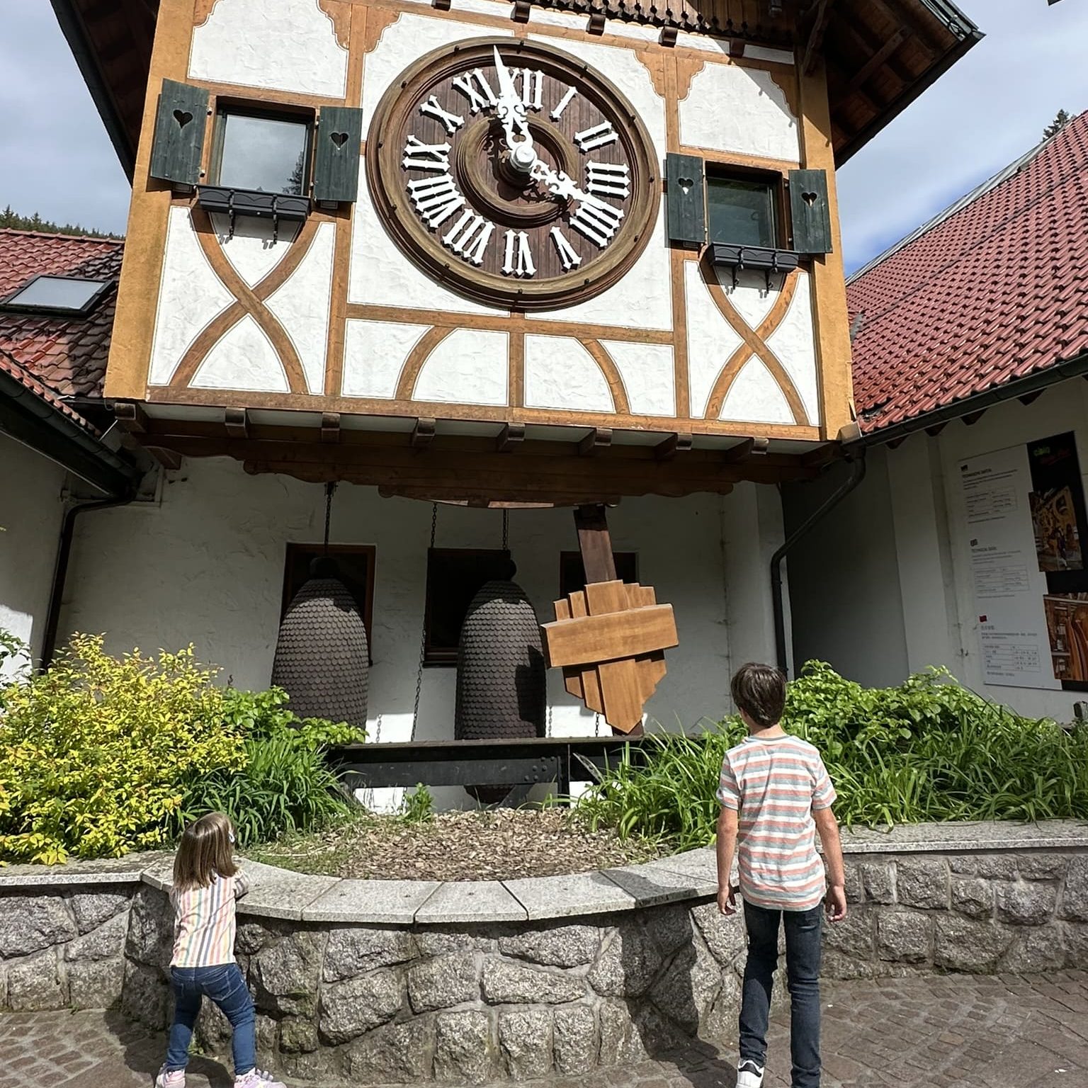 cucut triberg