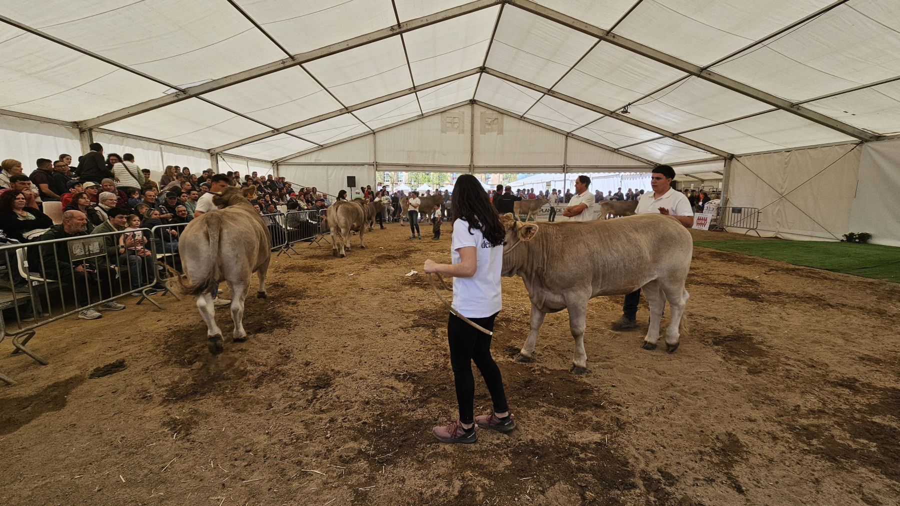 mercat del ram bestiar