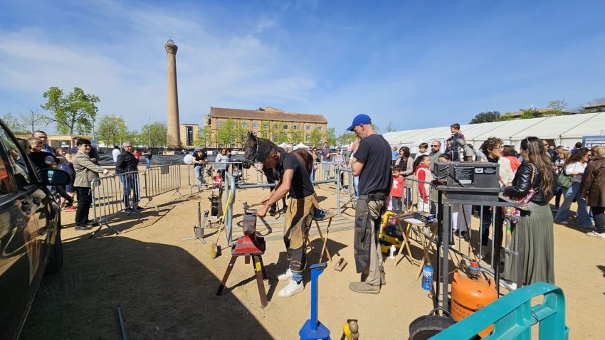 mercat del ram demostracions