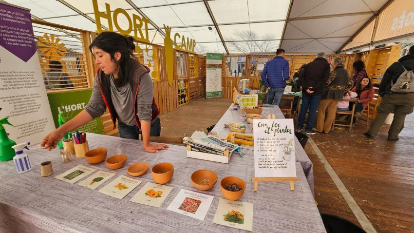 mercat del ram tallers