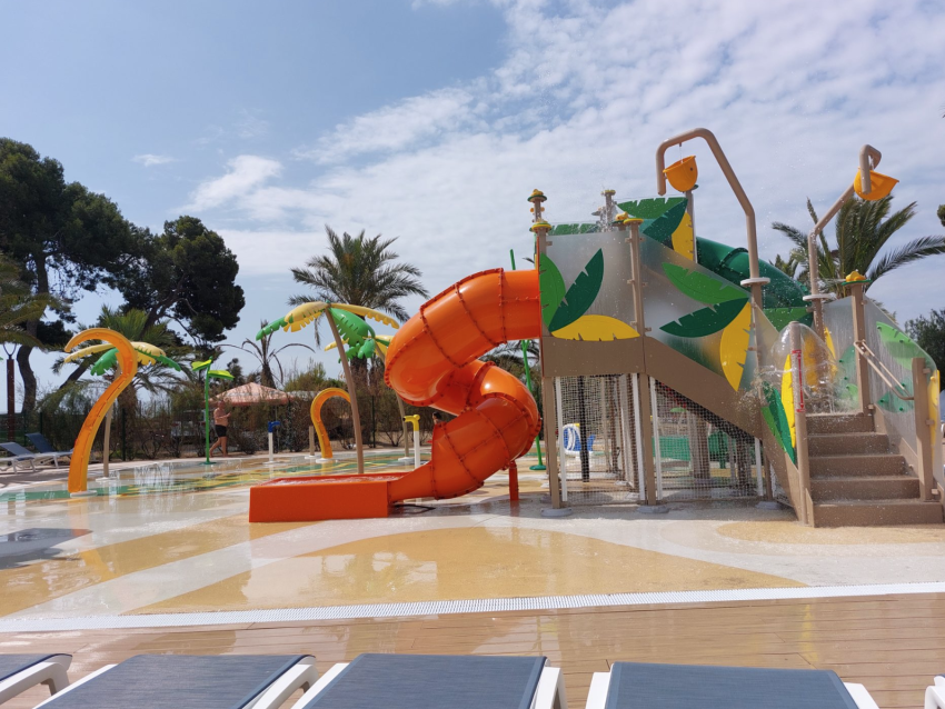 las palmeras 2