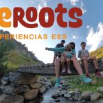 weroots portada