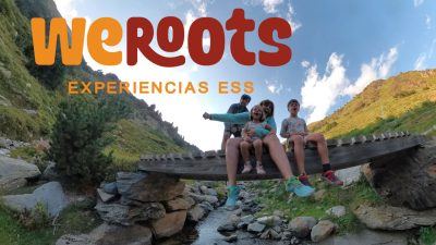 weroots portada