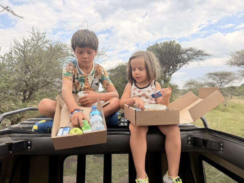 picnic safari 2