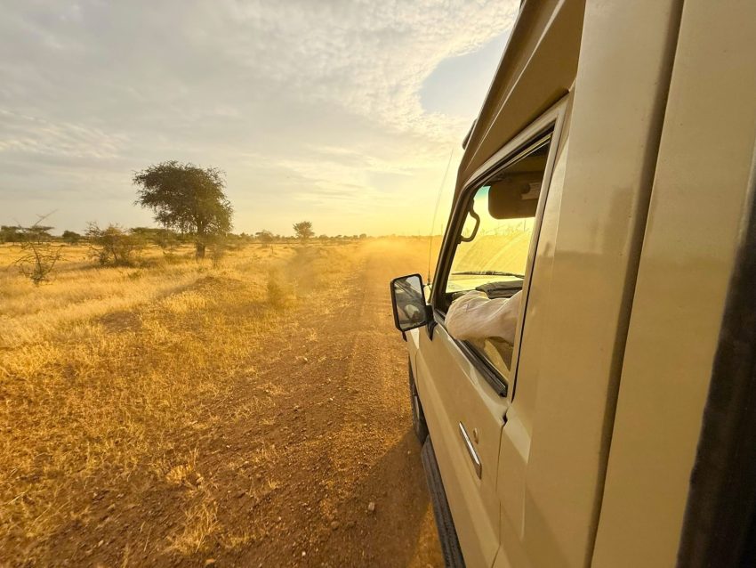 serengeti cotxe