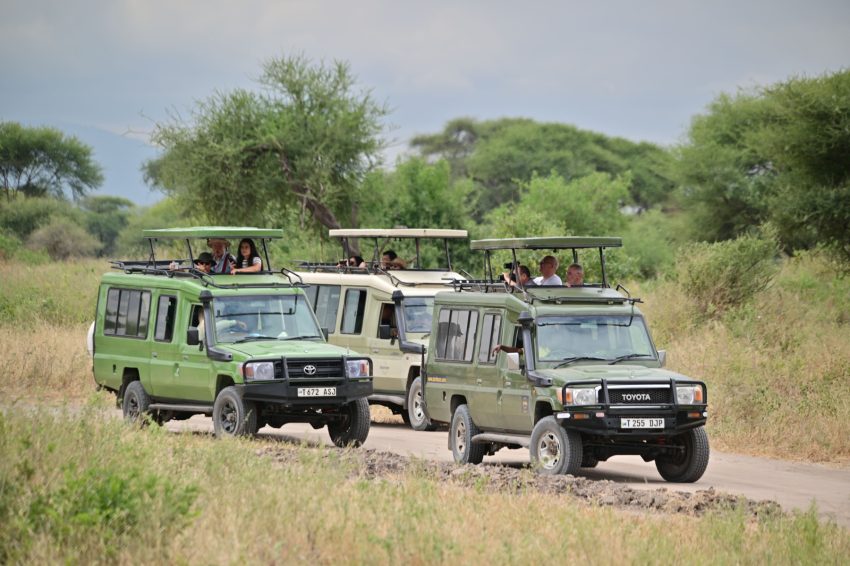 cotxes safaris