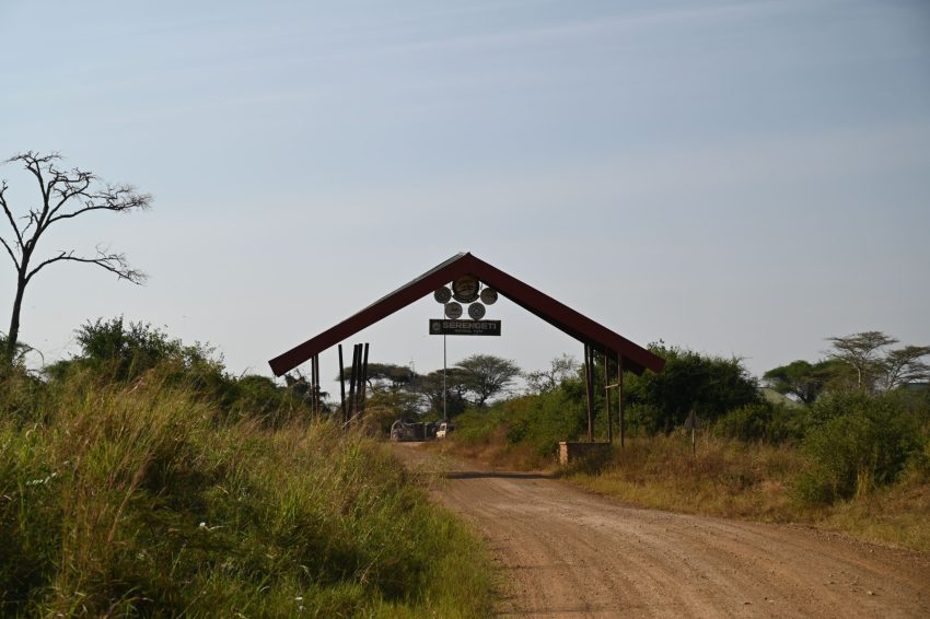 entrada serengeti