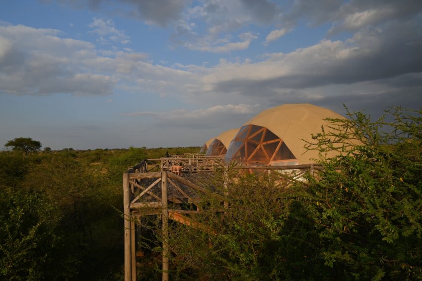 kuom serengeti
