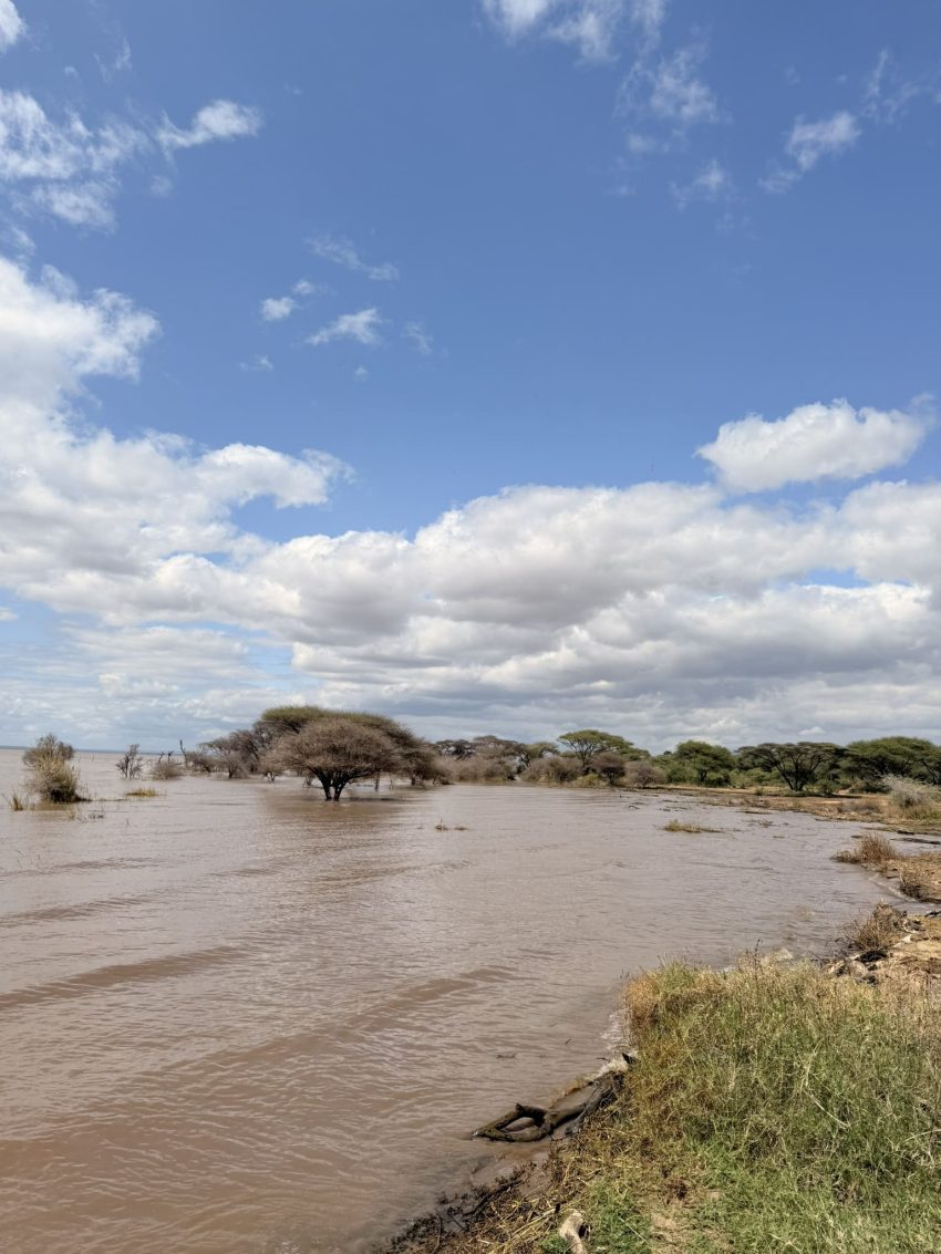 llac manyara llac