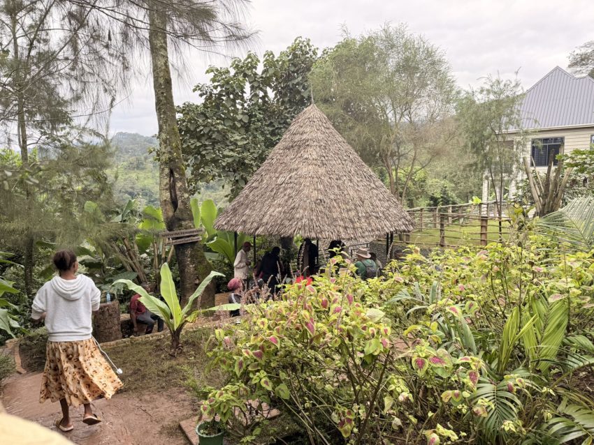 materuni plantacio