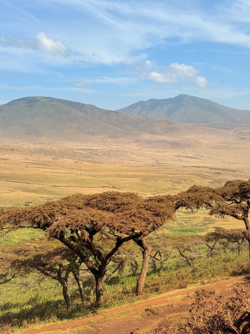 ngorongoro paisatge