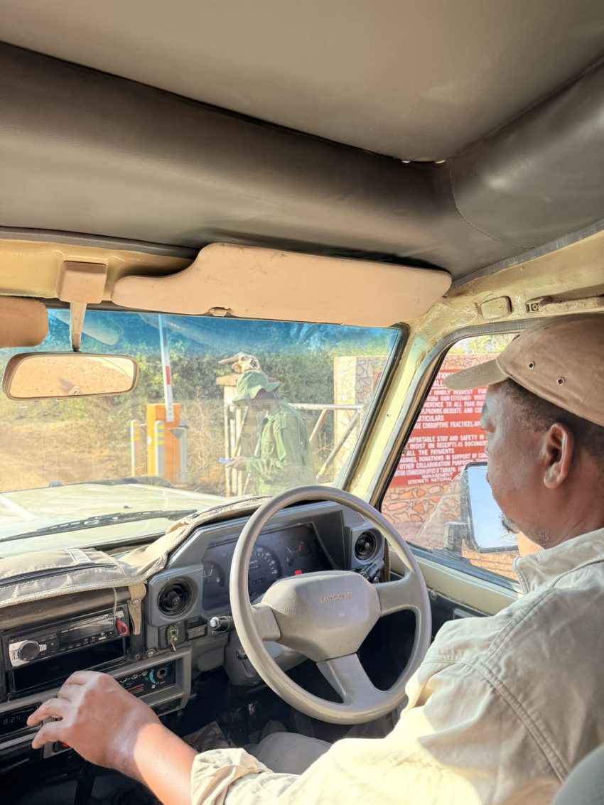 safari guia