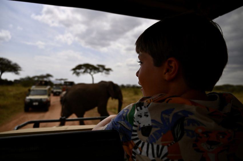 serengeti blai
