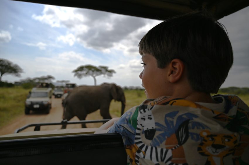 serengeti blai elefants
