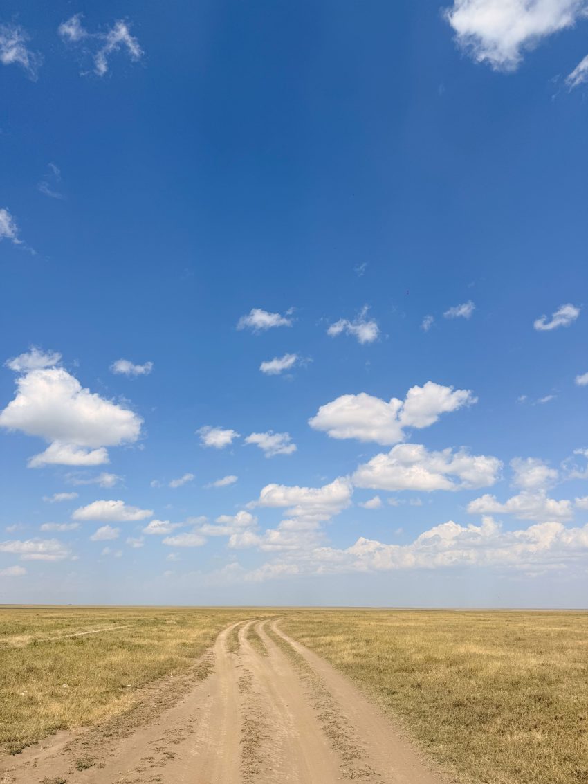 serengeti paisatge