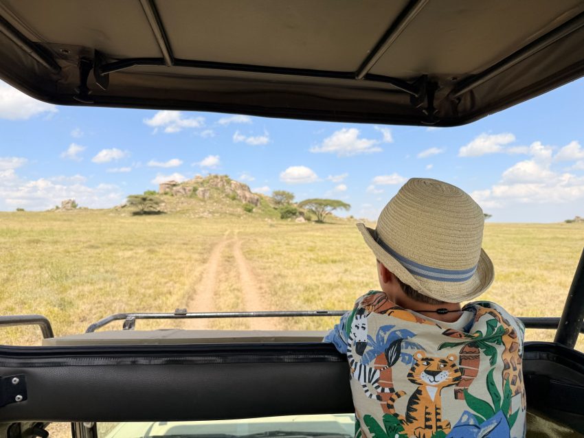 serengeti paisatge cotxe