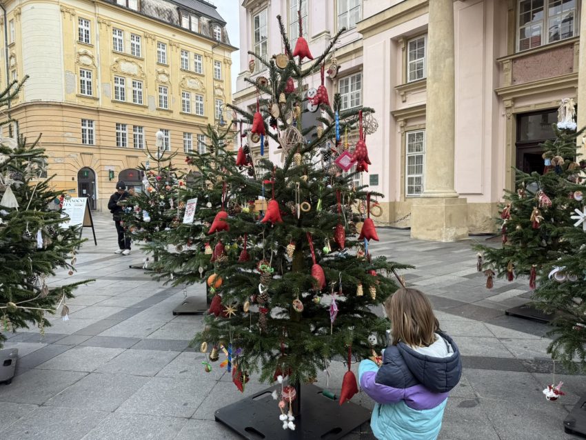 mercat de nadal bratislava arbres nadal