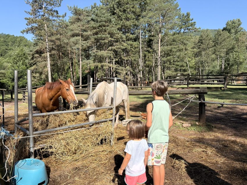 camping vall de camrpodon granja