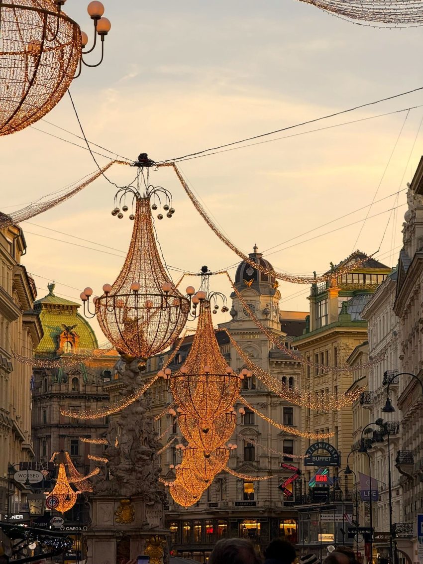carrers viena 3