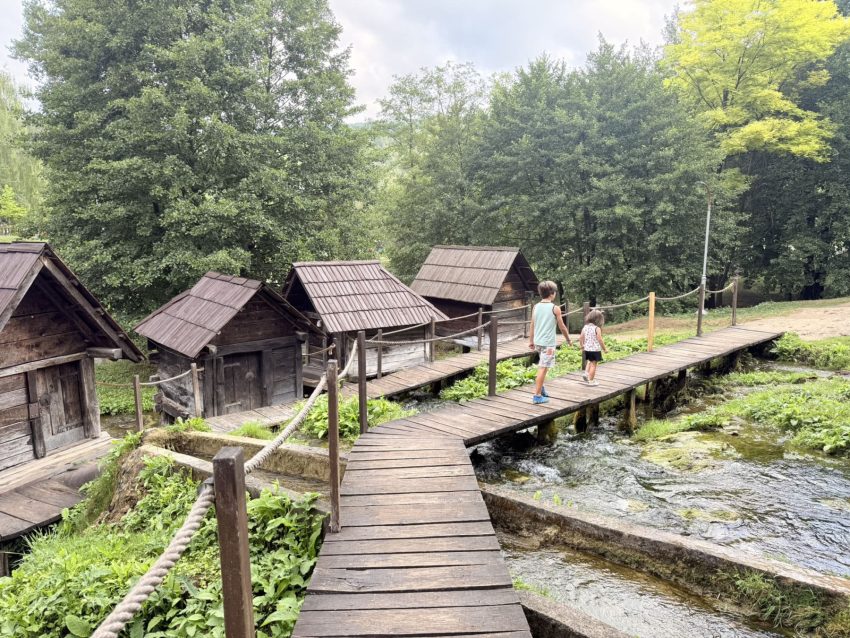 jajce molins