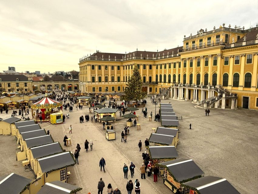 mercat nadal schoburn vista