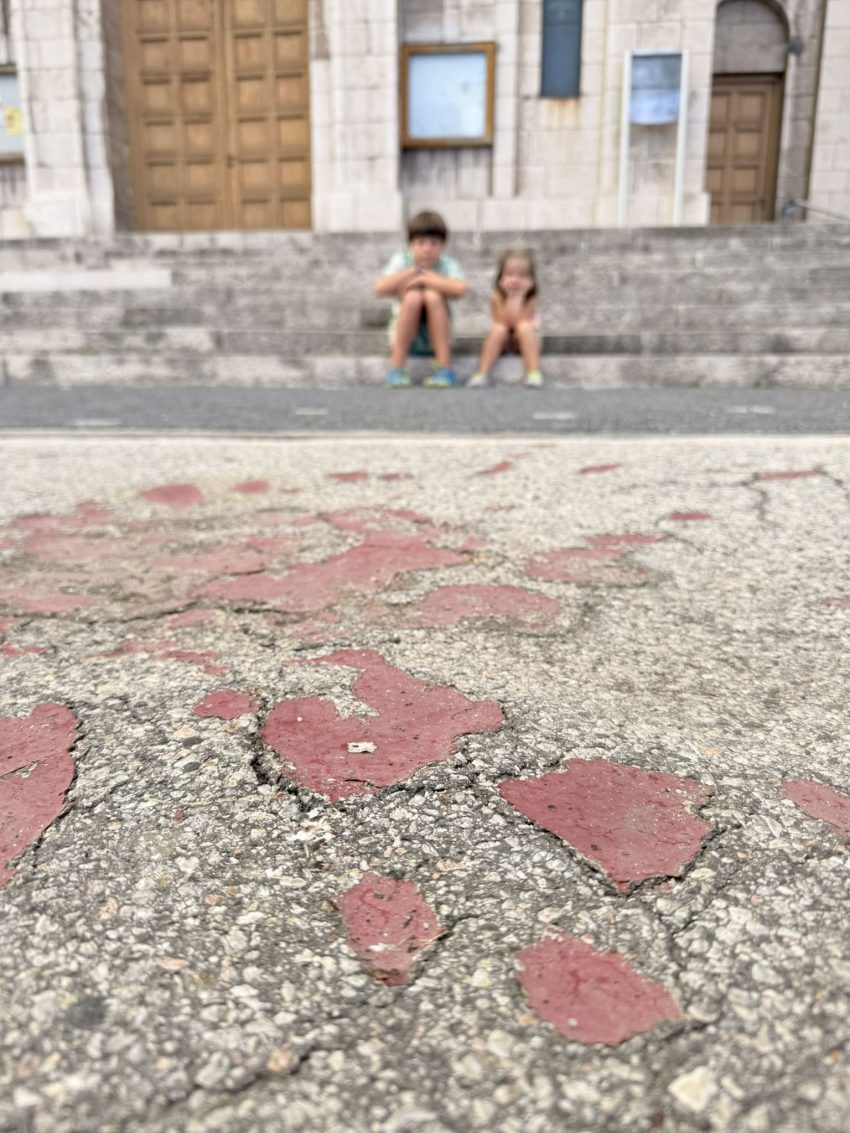 roses sarajevo 2