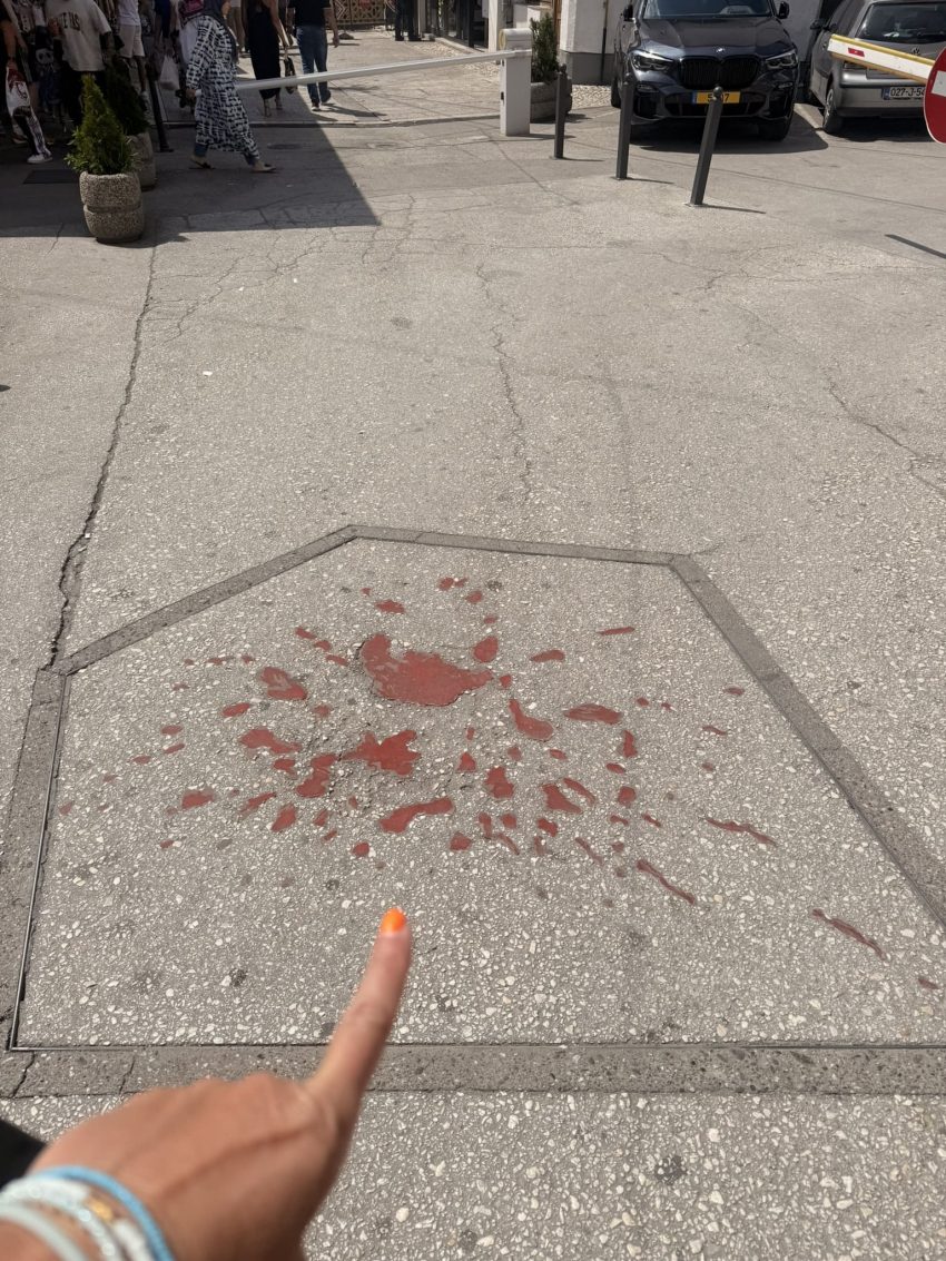 roses sarajevo 6