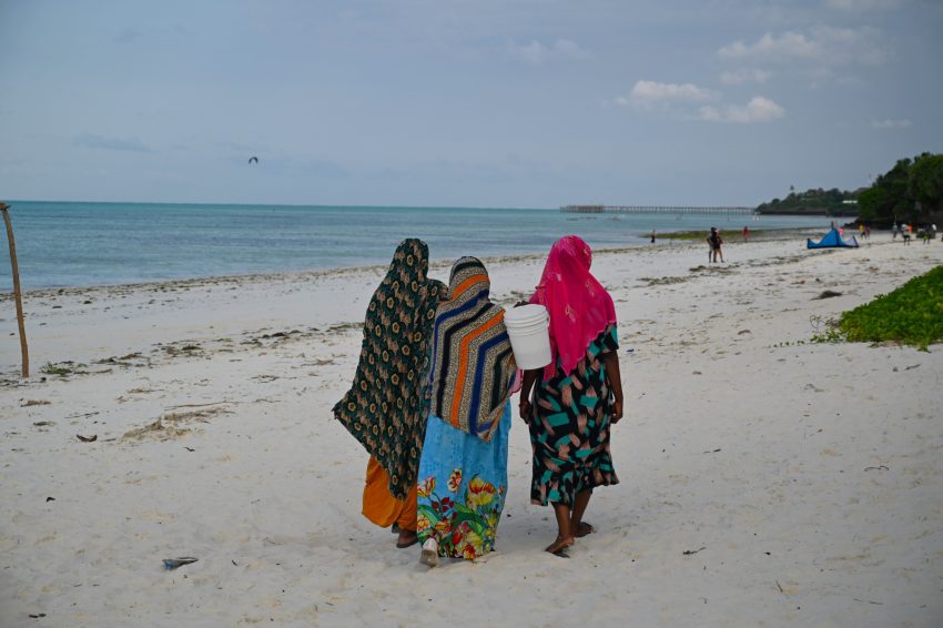 zanzibar dones