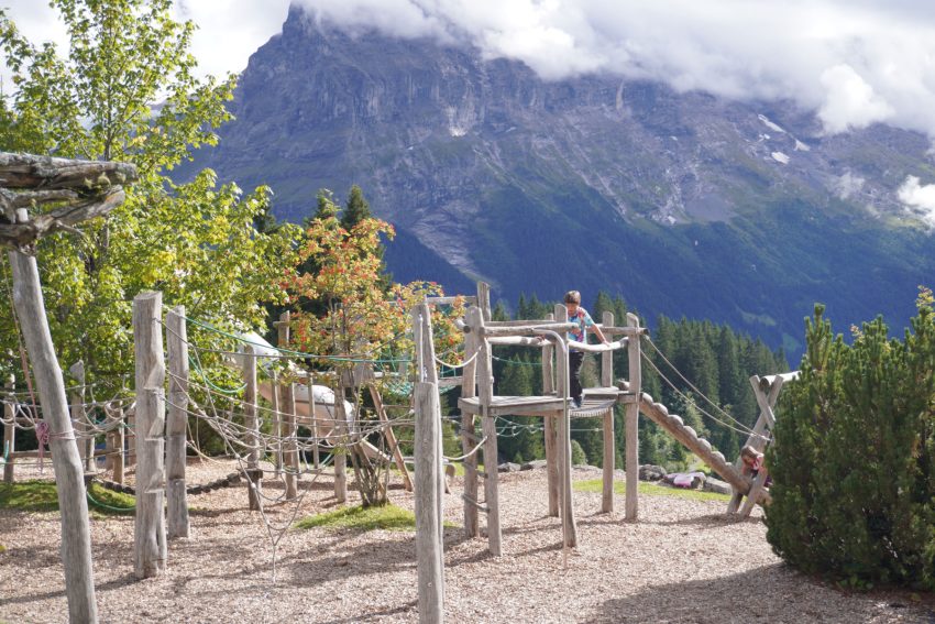 parc de bort 2