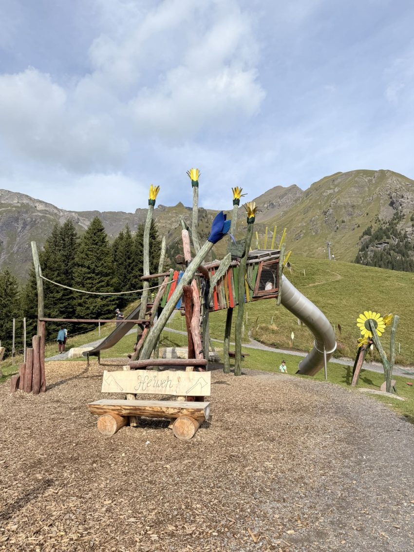 allmendhubel parc 2