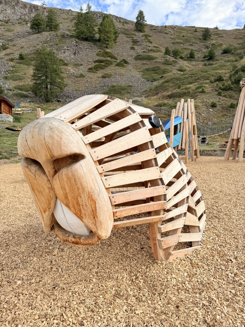 sunnega wolli park marmota