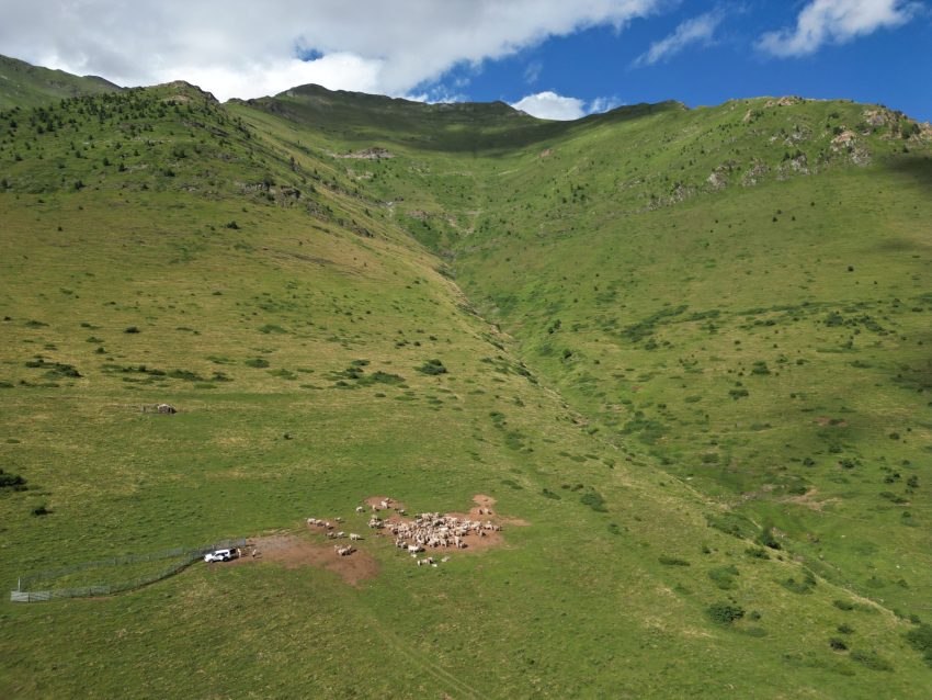 muntanyes vall de boi 67