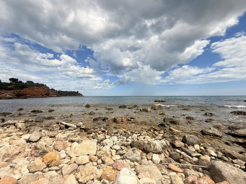 ses algues platja